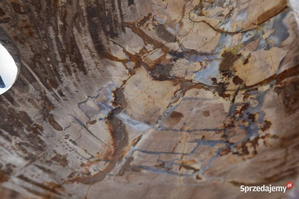 Fossil Wood SMALL BALI 11 kamienna umywalka pomorskie Gdynia