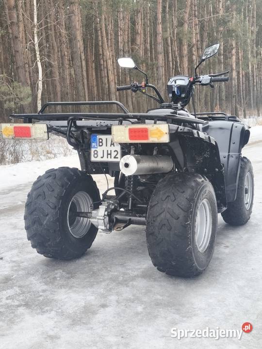 Quad 250 Zajerejestrowany Dobryń-Kolonia