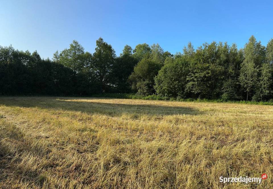Działka z możliwością zabudowy lubuskie