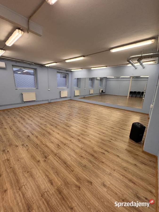 Sprzedam Park Rozrywki Pozostałe Pleszew