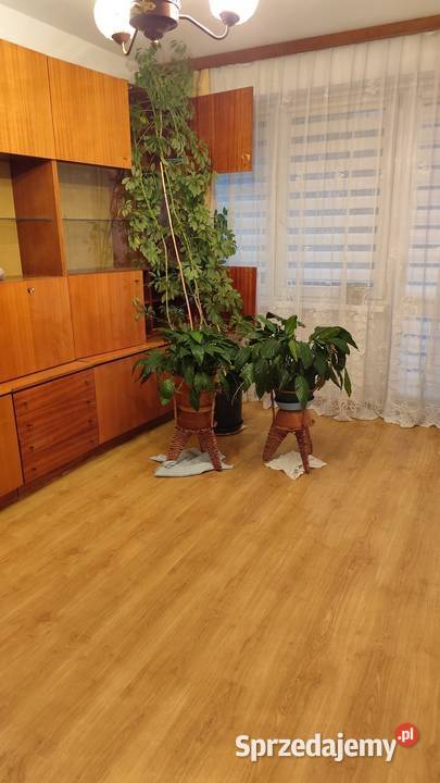 4 pok 625m2 Ip os PIASTA MIESZKA I podlaskie Białystok