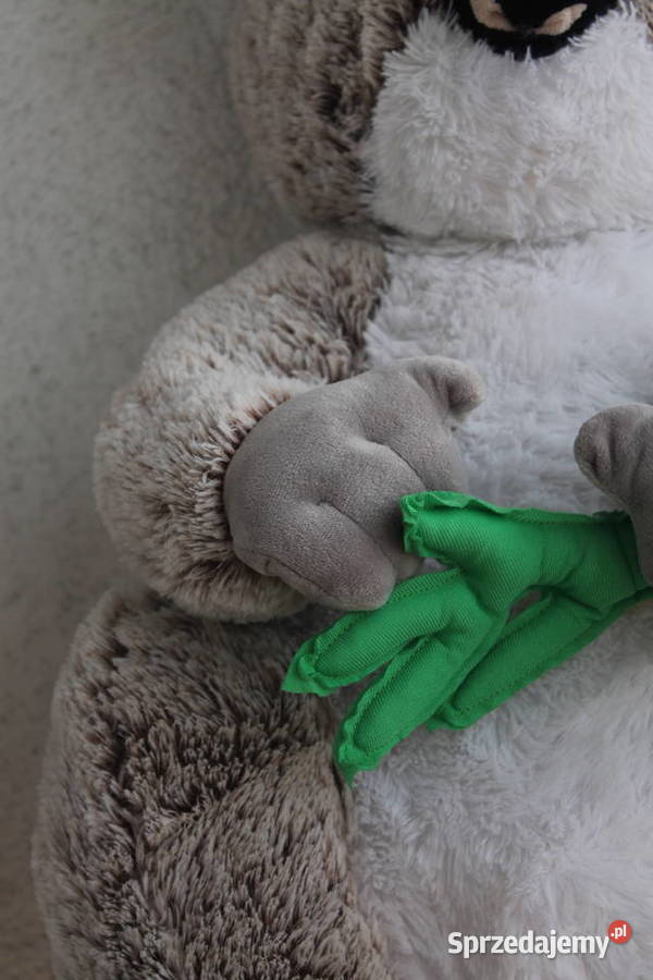 Duża Koala z eukaliptusem Maskotka Pluszak śląskie Katowice
