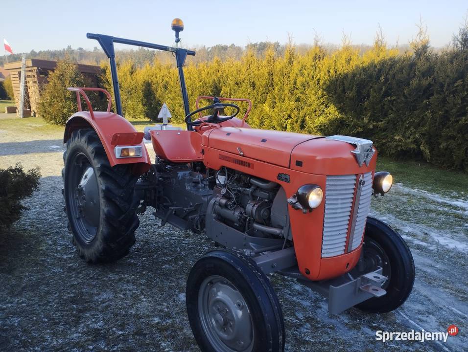 Ciągnik rolniczy Massey Ferguson 30 Myślibórz