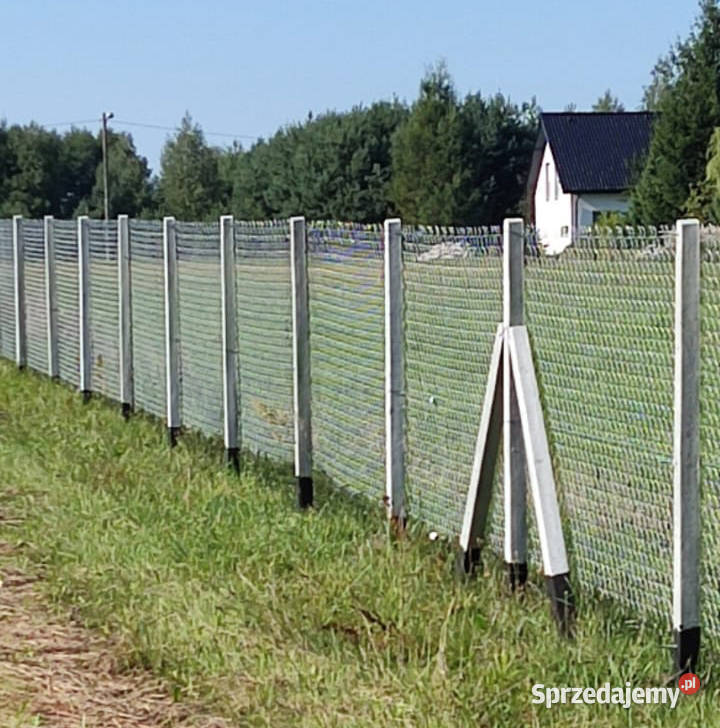 Betonowe słupki ogrodzeniowe ogrodzenia solidne sprzedam