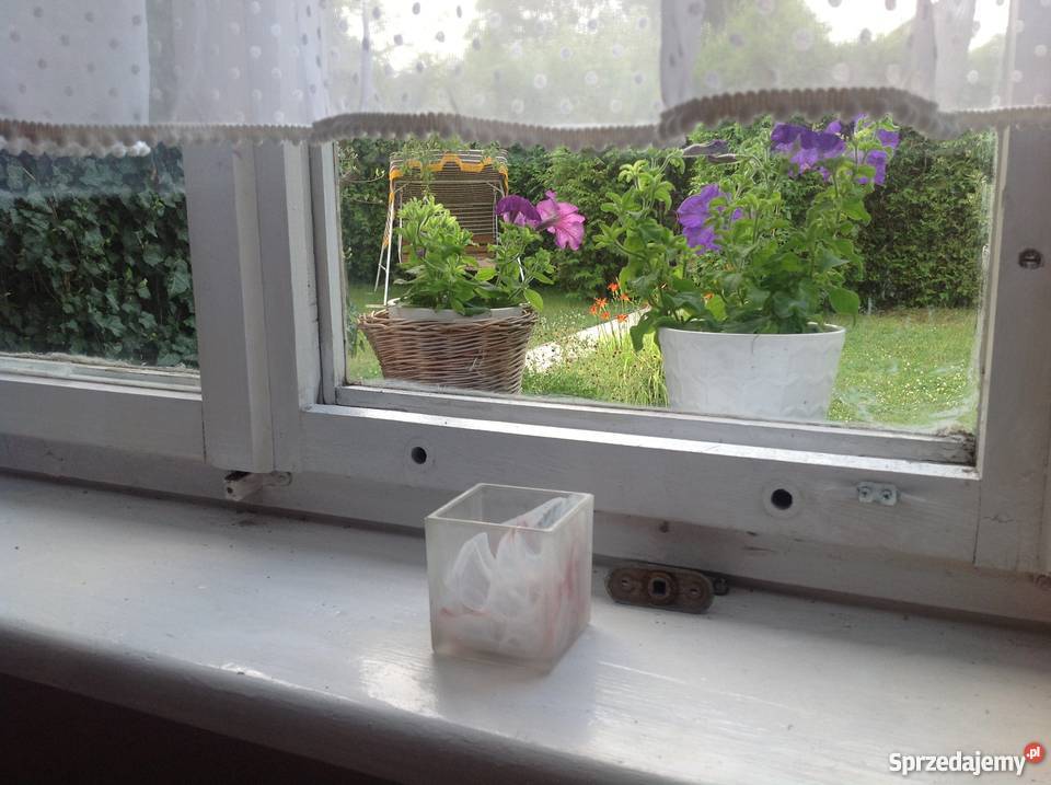 Działka ROD Camping Poznań domek murowany prąd wielkopolskie sprzedam