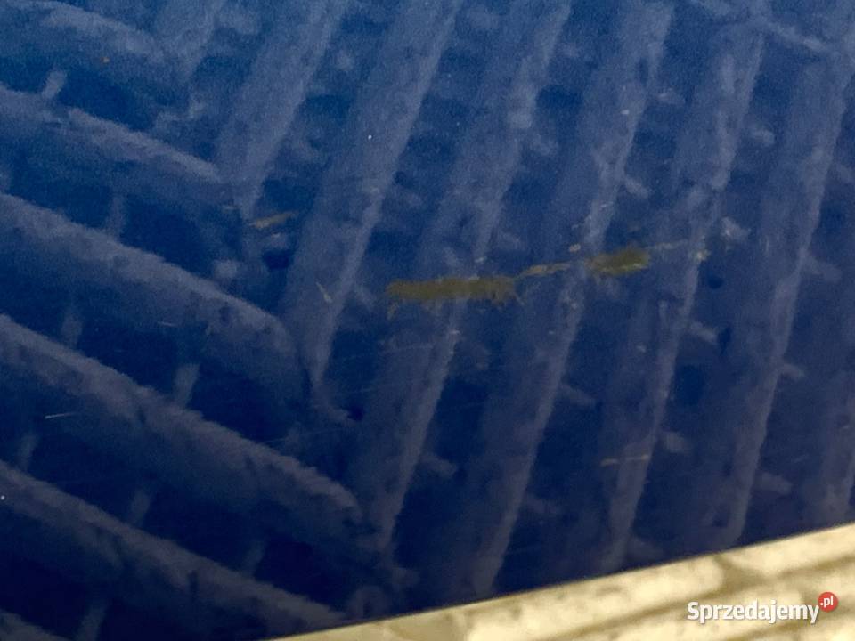 KLAPA TYŁ MAZDA CX5 SUV 1117 Sky Blue TYLNA osobowe