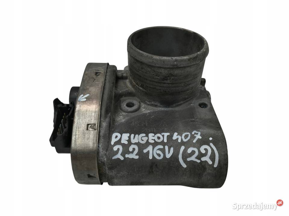 PRZEPUSTNICA ELEKTRONICZNA Peugeot 407 607 807 Chełm
