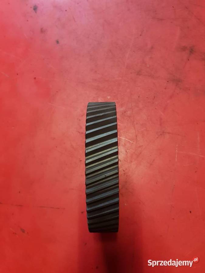 82004001 Koło zębate wałka rozrządu URSUS C385 lubuskie Sulechów