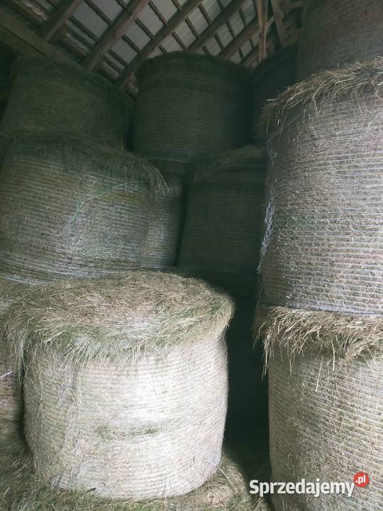 Siano 2 i 3 pokos podlaskie sprzedam