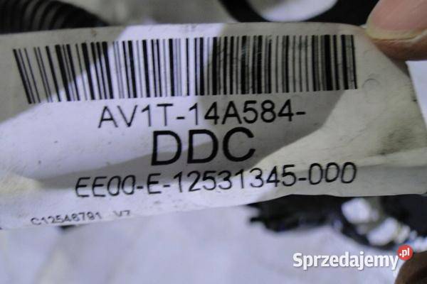 Wiązka drzwi lewy przód Ford B AV1T14A584DDC kujawsko-pomorskie