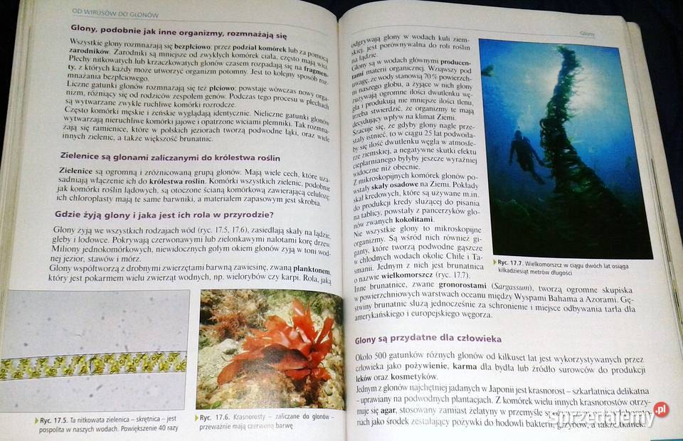 Ciekawa Biologia 1 Podręcznik Ewa Kłos Chełm