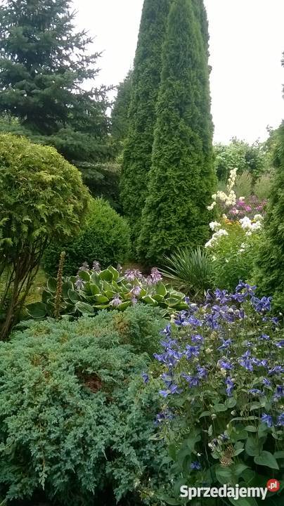 Wyspa Pucka Szczecin Nieruchomości