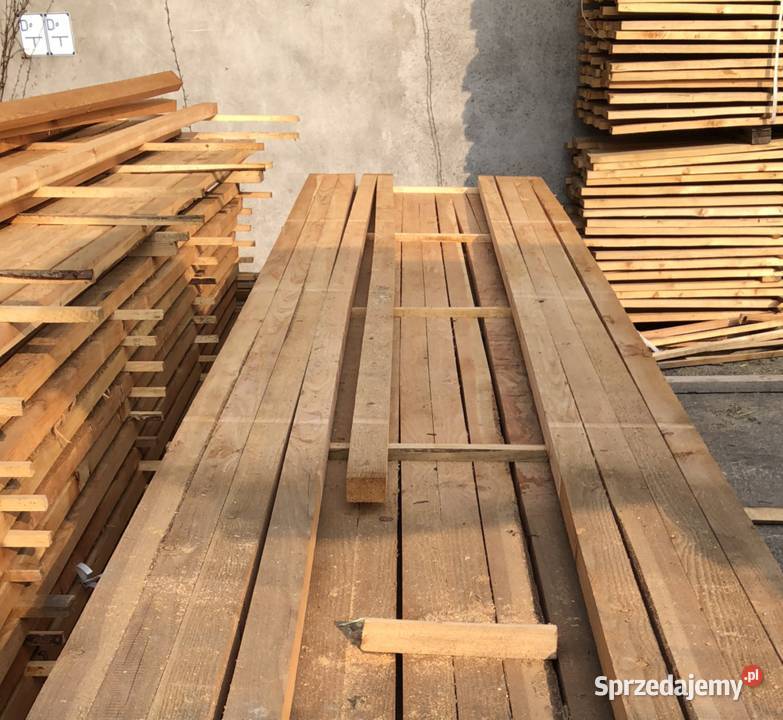 Legary modrzew syberyjski Grodzisk Mazowiecki