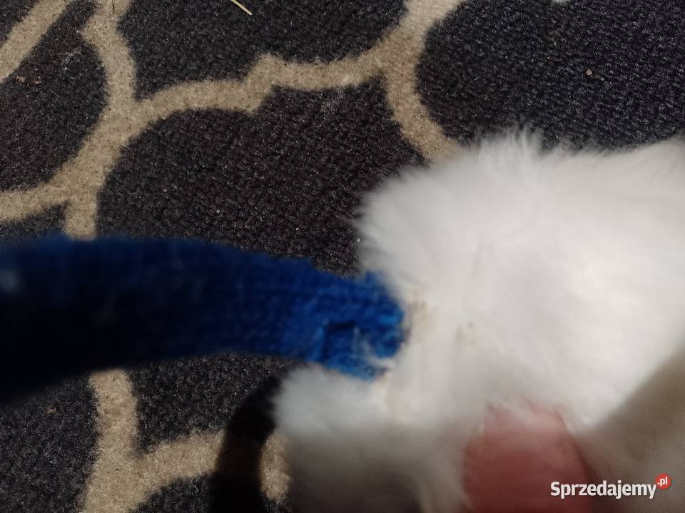 RIVER ISLANDFutrzane nauszniki Zimowe z Kraków sprzedam