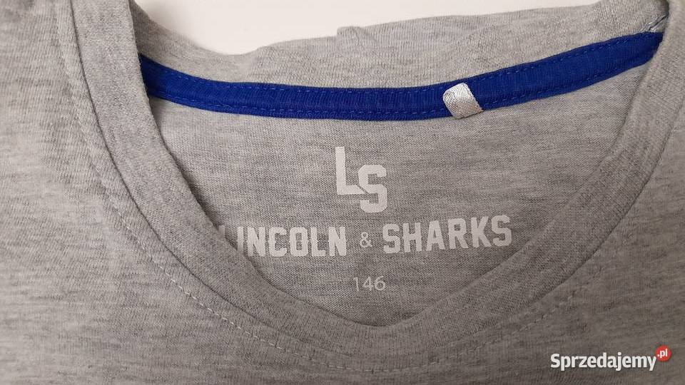 Bluzka bluza chłopca5 146152 Besta Plus sprzedam