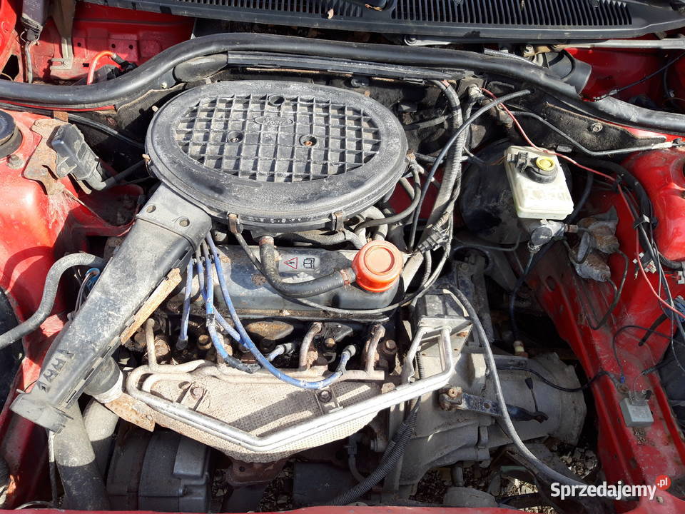Ford escort celebretion red jedyny taki Zamiana Żywiec