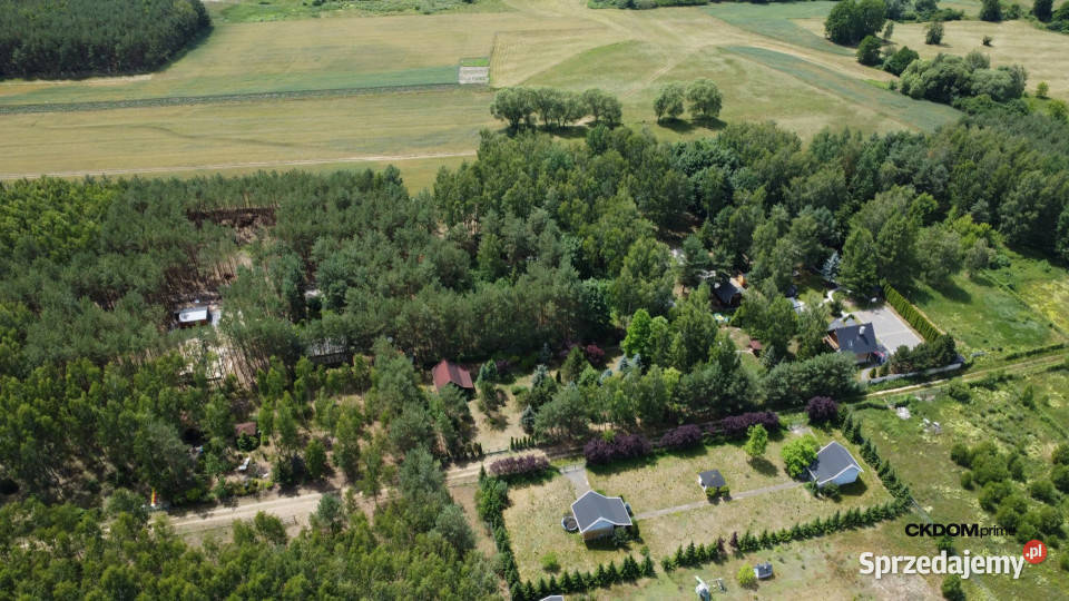 Działka z lasem na wyłączność aglomeracji mazowieckie