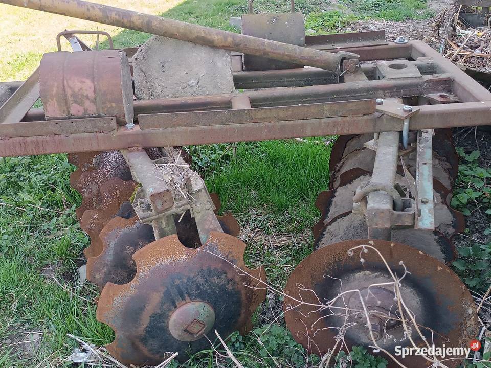 Talerzówka 2x8 lubelskie Wojszyn