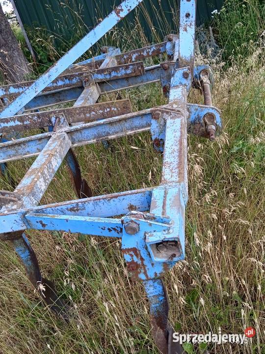 Ścierniskowkec Lemken lubelskie Latyczyn