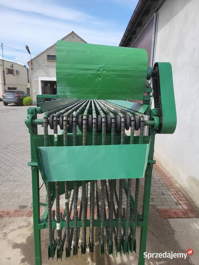 Sortownik do ogórków Czermin