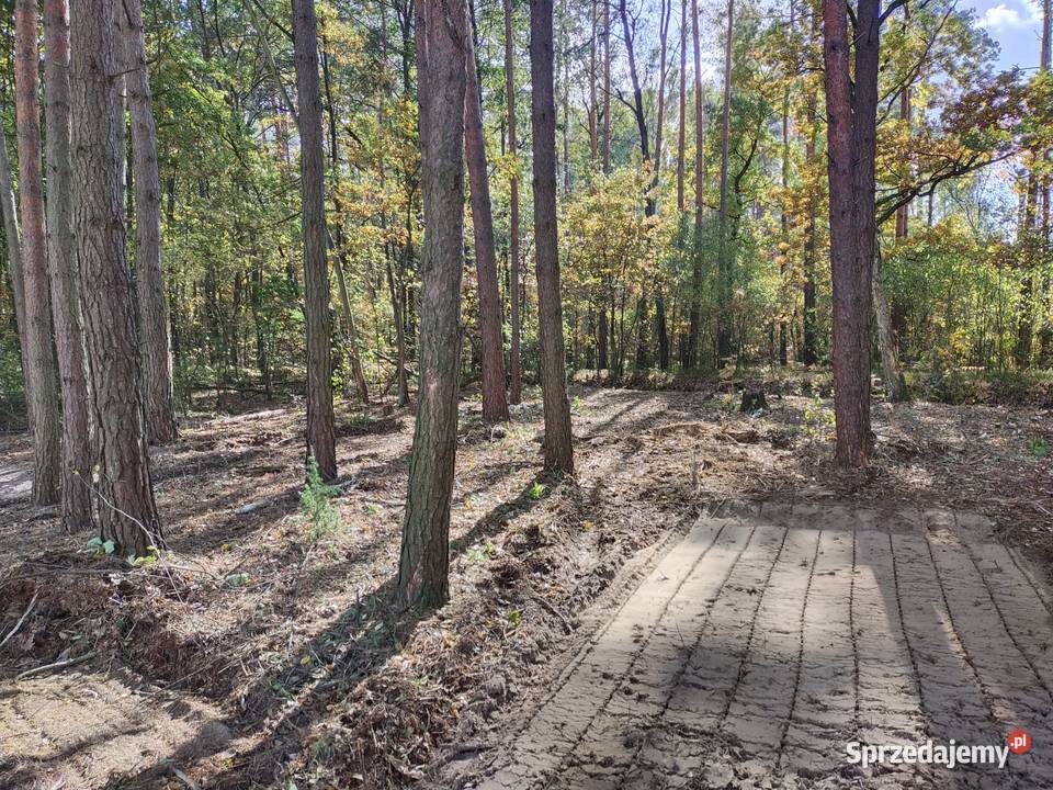 Działki budowlane 10 Płońska Kępa