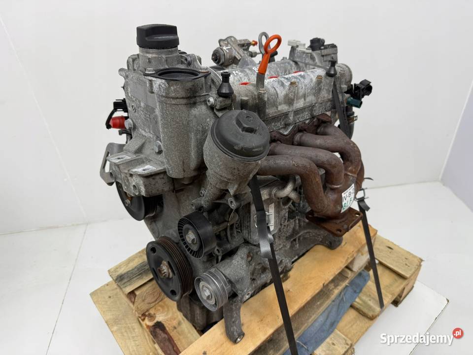 SILNIK BLF Audi A3 II 8P Skoda Octavia II 16 FSI Chełm