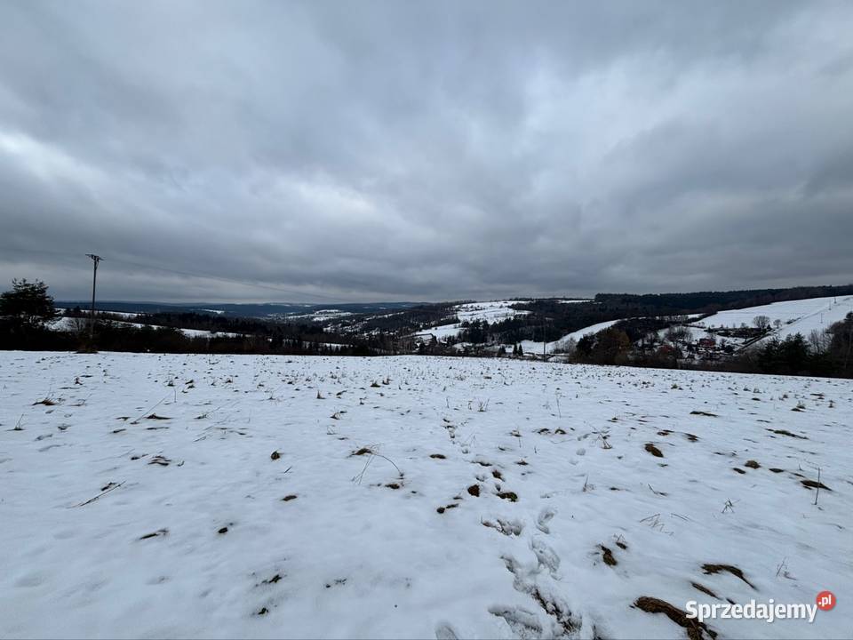 Działka 40 a z warunkami zabudowy Korzeniec