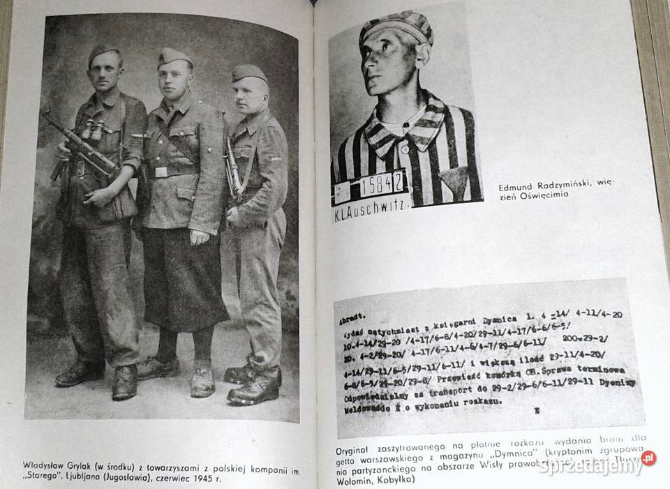 Nie zniszczeni grom Józefa Radzymińska Chełm