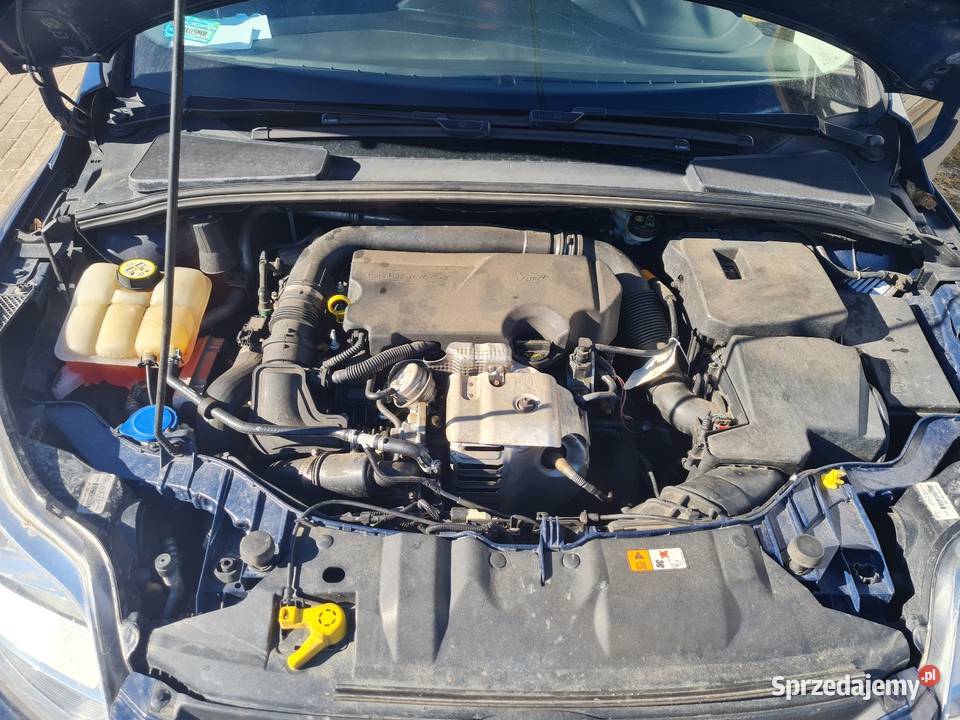 Ford fokus nieuszkodzony warmińsko-mazurskie Pasłęk