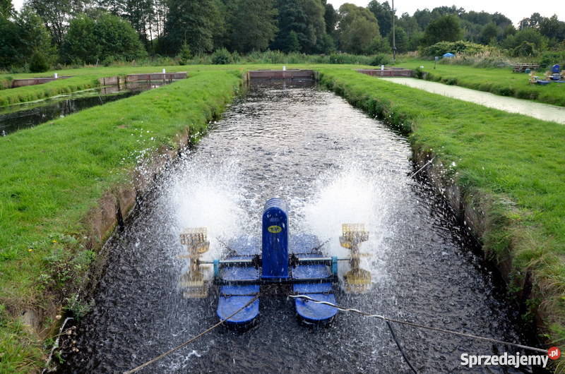 Sprzedam hodowlę pstrąga tęczowego gospodarstwo Grunty i działki Łoźnica