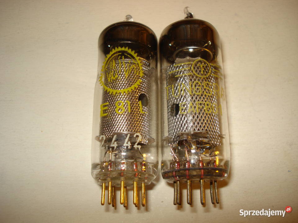 Lampy E81L EAF801 PFL200 ze starych zbiorów pomorskie sprzedam