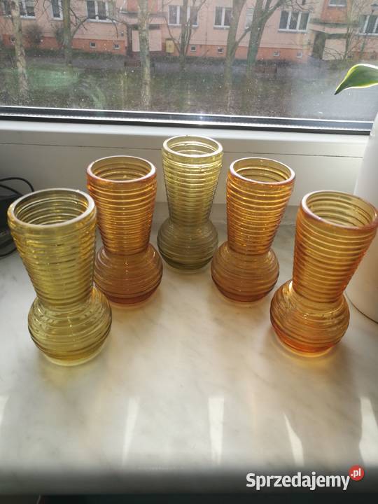 Wazoniki prążki prądniczanka