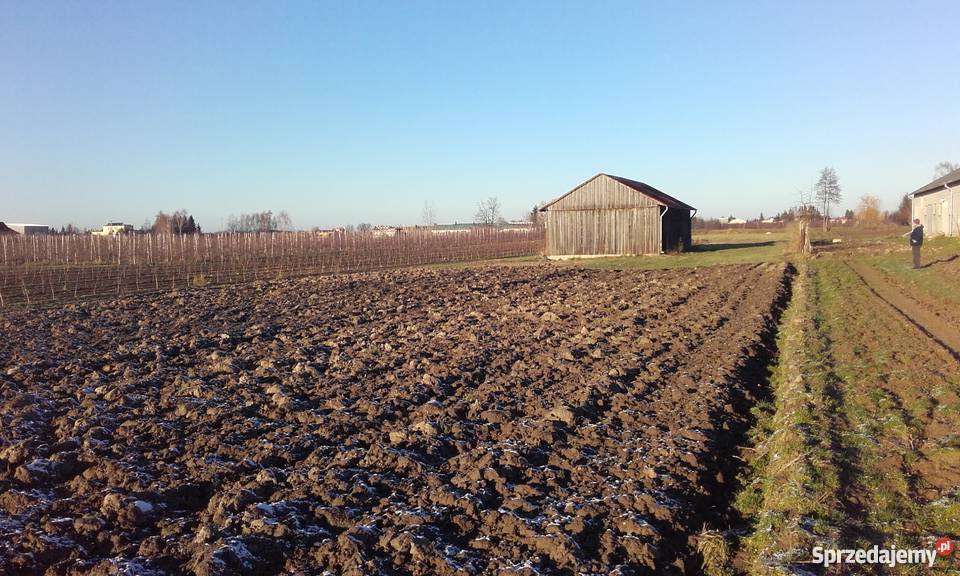 Działka rolno budowlana asfalt Warpęsy