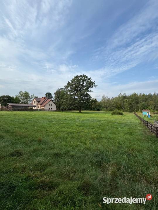 Działka budowlana o pow 3 499 m we wsi Jeże 80zł/m2 warmińsko-mazurskie