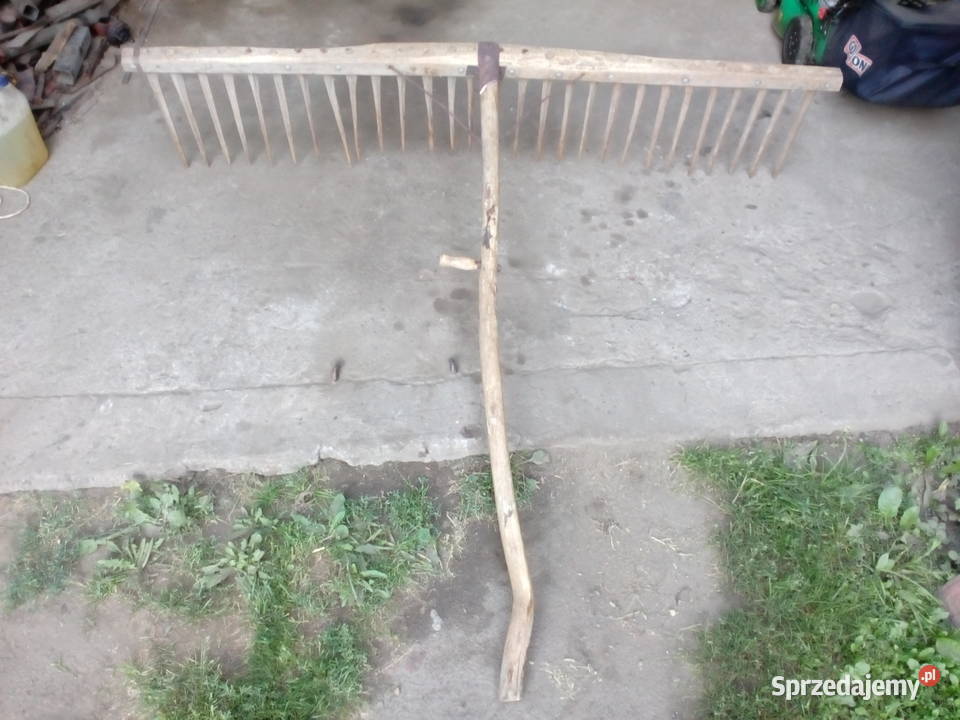 Grabie duze z lat 60 Lipno