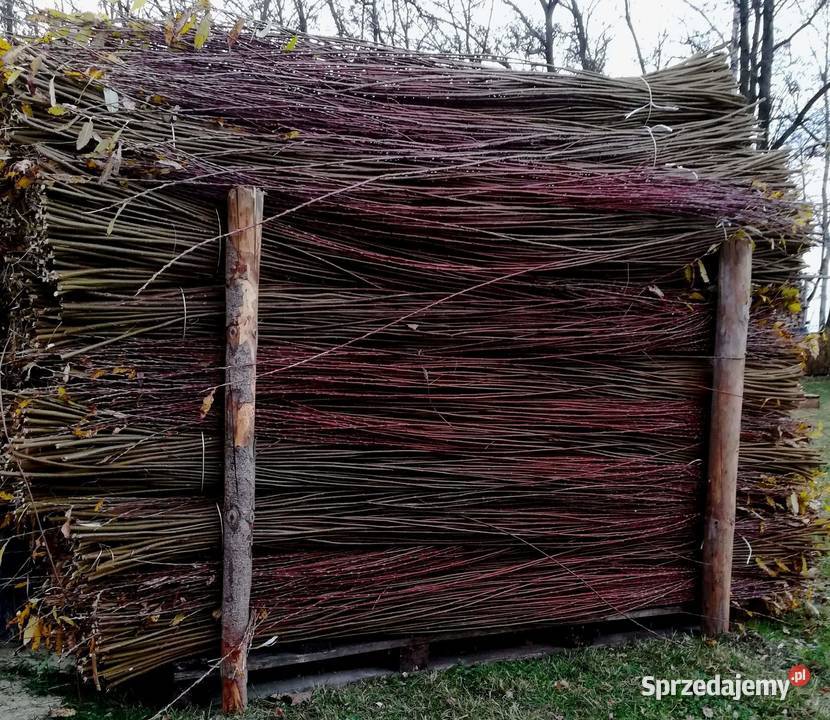 Wiklina sortowana 200 do 220 Raniżów
