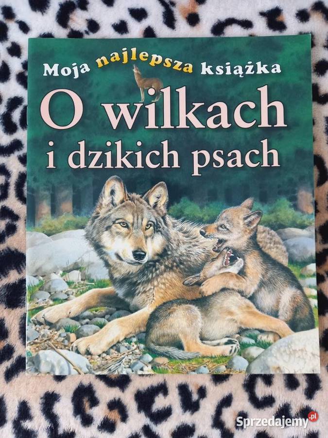 O wilkach i dzikich psach (seria Moja najlepsza książka)