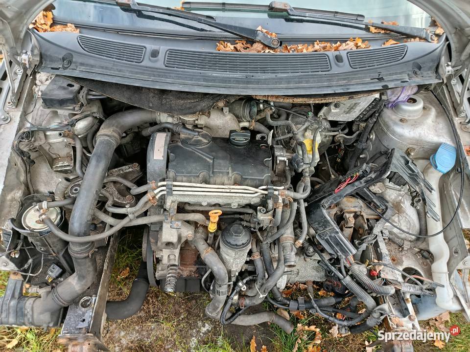 Skoda Roomster 14 51 kW 2007 r dawca części wielkopolskie Szklarka Myślniewska