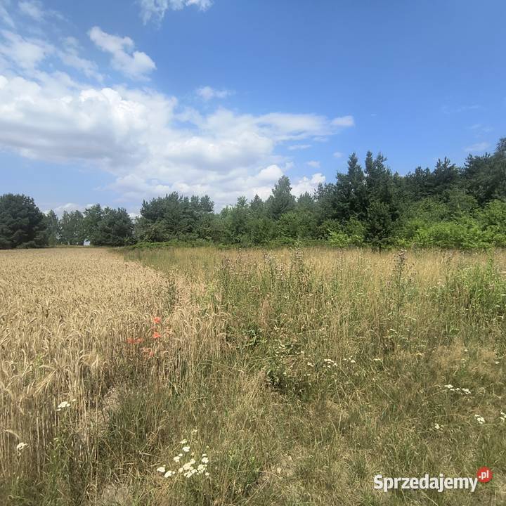 Do sprzedania działka rolnobudowlana 23zł/m2 Bęczkowice Poduchowne