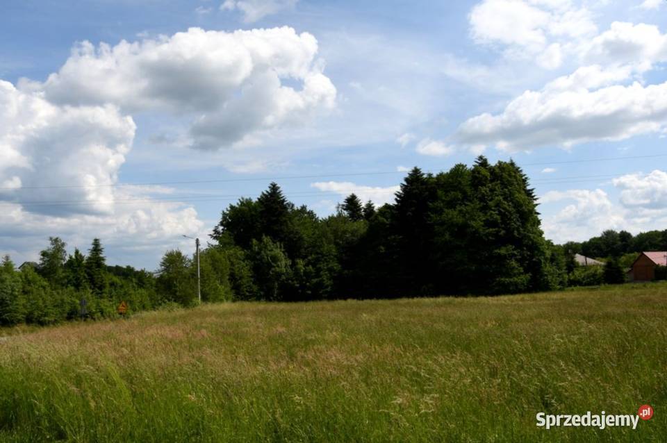 Działka budowlana 42a w Dylągówce 52zł/m2 Sprzedaż podkarpackie Dylągówka