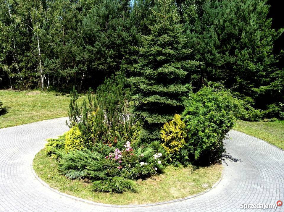 dom z bali drewnianych z parkiem 1 5 hektara mazowieckie Złotokłos