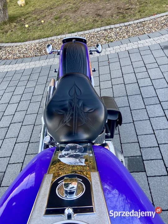 Siodło solo Harley Softail