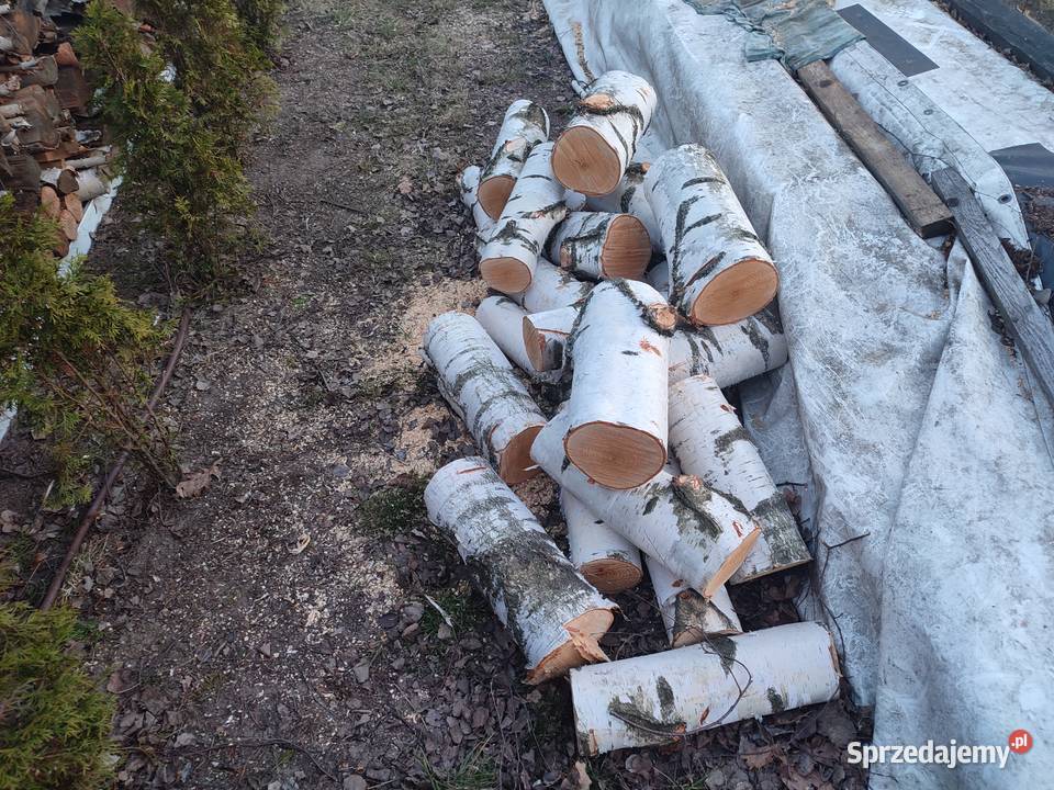 Drewno opałowe brzoza kominkowe suche