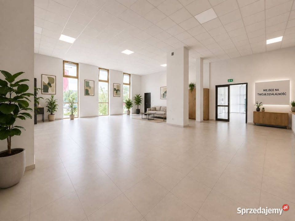 wynajmu lokalu Rzeszów Tadeusza Rejtana 185m2 podkarpackie