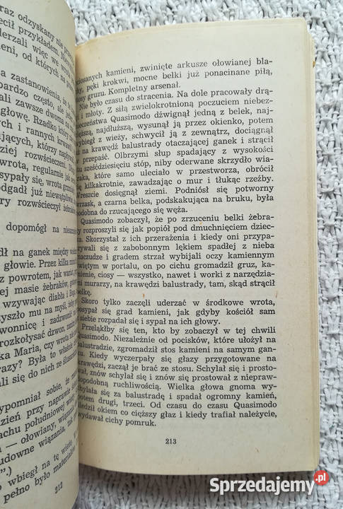 Katedra Marii Panny w Paryżu Wiktor Hugo literatura piękna - proza zagraniczna