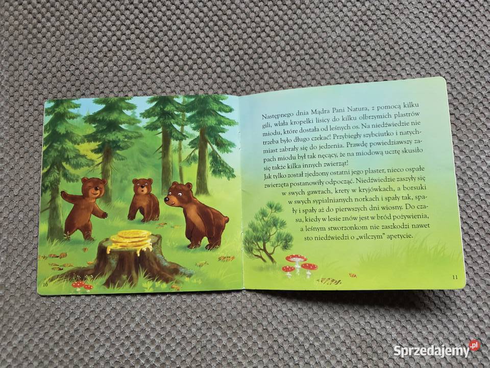 Dlaczego niedźwiedzie zapadają w zimowy sen Kraków