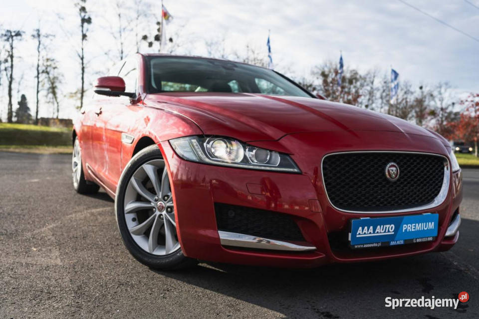 Jaguar XF 20d Zabrze