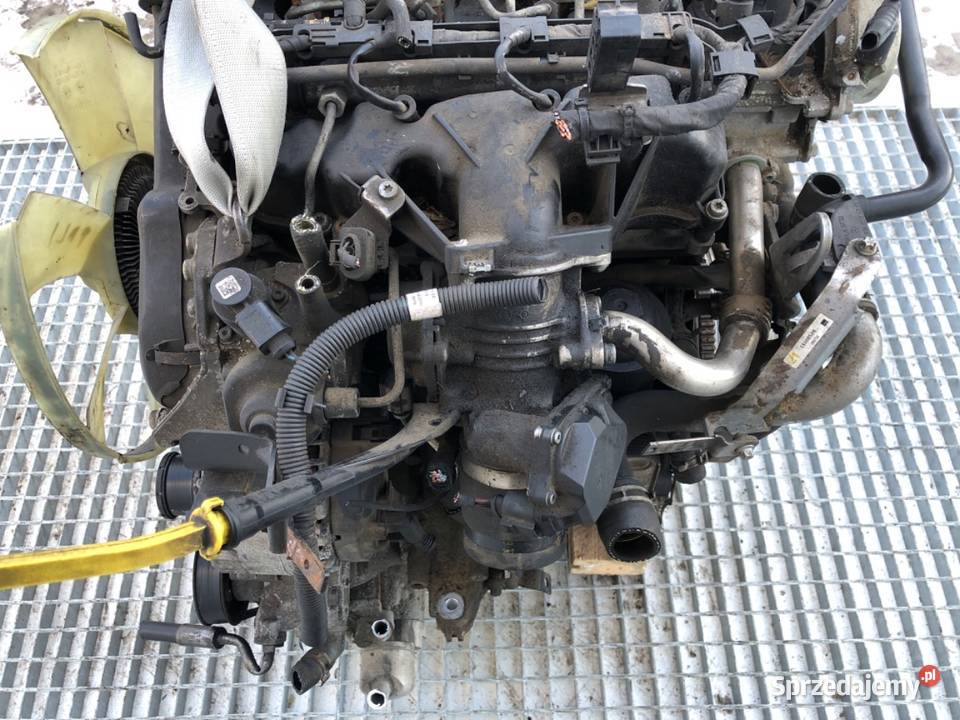 SILNIK KOMPLETNY VW 20 136 0616 CARFTER 30 35 osobowe podkarpackie