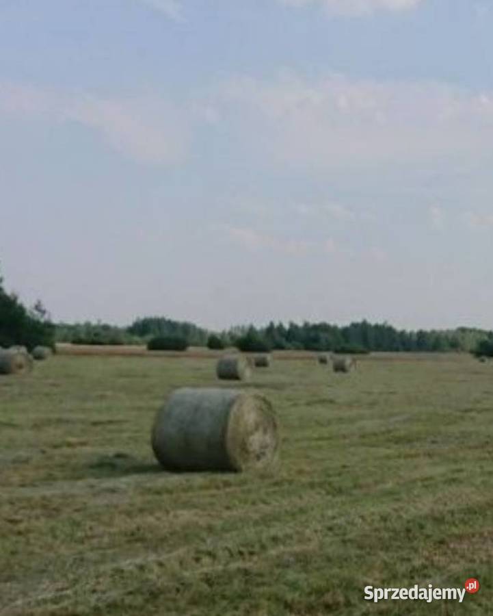 Słomasiano ściółka w belach małopolskie Sidzina