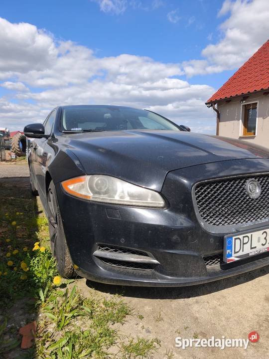 Jaguar XJ model 351 5 litrów w benzynie Sedan / Limuzyna sprzedam